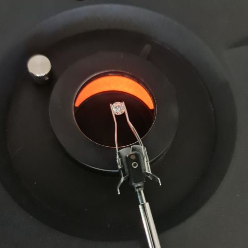 Ready for examination.jpg